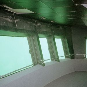 Underwater Viewing of the Springs