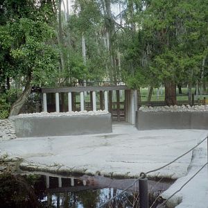 Hippopotamus Enclosure