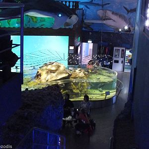 View of the Downstairs area from Upstairs