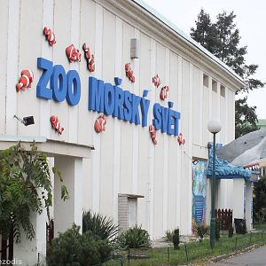 Outside Wall and Entrance area