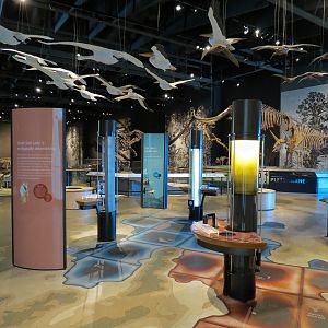 Great Salt Lake Gallery