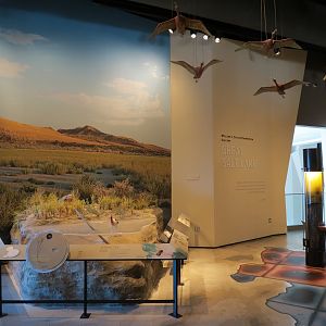 Great Salt Lake Gallery