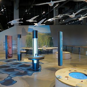 Great Salt Lake Gallery