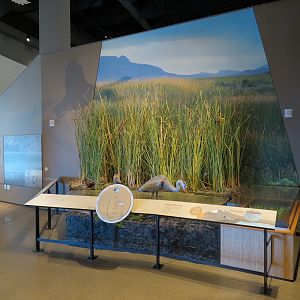 Great Salt Lake Gallery