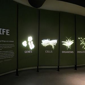 Life Gallery