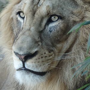 Nov. 2015 - Africa - John