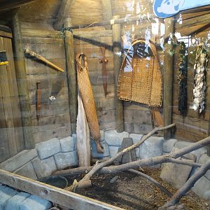 Nov. 2015 - Discovery Forest - Boa Constrictor Exhibit