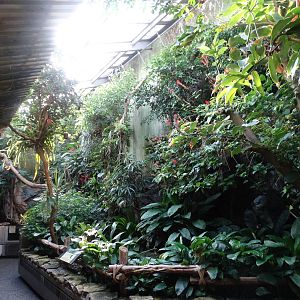 Nov. 2015 - World of the Insect - Butterfly Aviary
