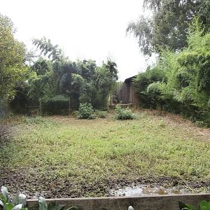 Capybara temporary holding enclosure