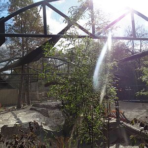 Nov. 2015 - Islands - Future Little Penguin Exhibit