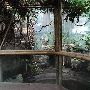 Nov. 2015 - HerpAquarium - King Louise's Exhibit