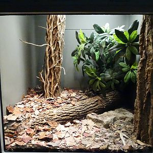 Nov. 2015 - HerpAquarium - Northern Copperhead + Timber Rattlesnake Exhibit