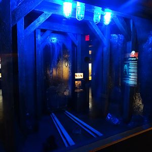 Nov. 2015 - HerpAquarium - Common Vampire Bat Exhibit