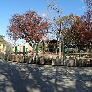 Nov. 2015 - Africa - Elephant Exhibit + Future Expansion