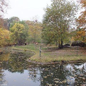 Barbary Lion Enclosure