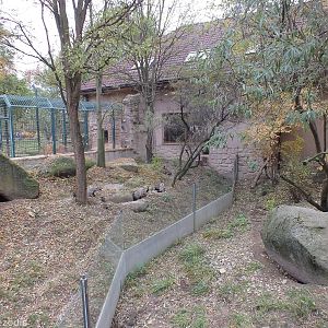 Outdoor Enclosures of African House