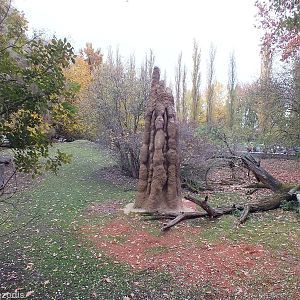 Part of Australia Enclosure