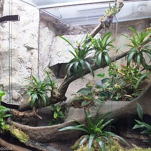 Example Snake Enclosure