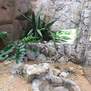 Example Snake Enclosure