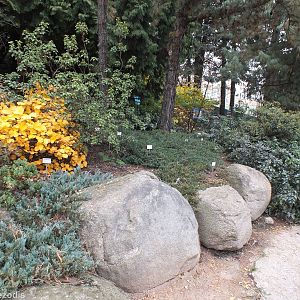 View of a Planted area