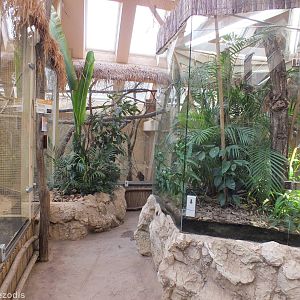 View of part of Madagascar House