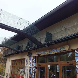 Access Routes for Lemurs to go from Indoors to Outdoors