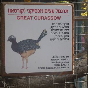 Tel Aviv bird park Zapari 29.12.12