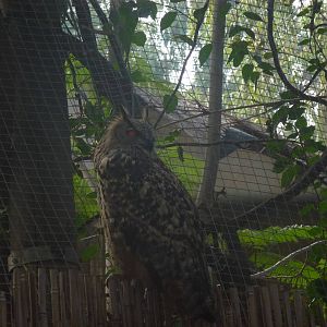 Tel Aviv bird park Zapari 29.12.12