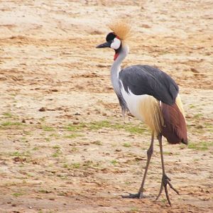 Safari Zoological Center 30.1.10