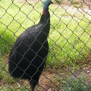 Safari Zoological Center 30.1.10