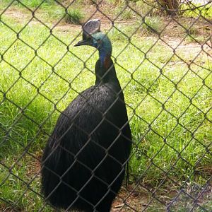 Safari Zoological Center 30.1.10