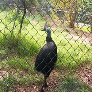 Safari Zoological Center 30.1.10