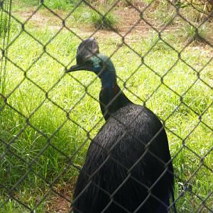 Safari Zoological Center 30.1.10