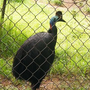 Safari Zoological Center 30.1.10