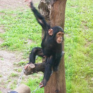 Safari Zoological Center 30.1.10