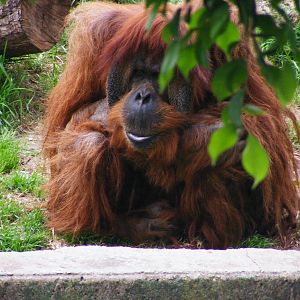 Safari Zoological Center 30.1.10