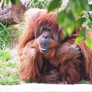 Safari Zoological Center 30.1.10