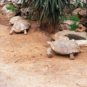 Safari Zoological Center 30.1.10