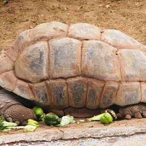Safari Zoological Center 30.1.10