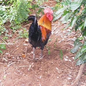 Safari Zoological Center 30.1.10