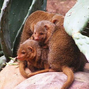 Safari Zoological Center 30.1.10
