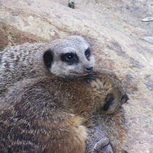 Safari Zoological Center 30.1.10