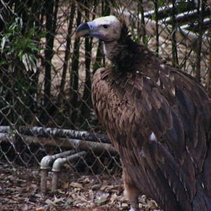 Safari Zoological Center 30.1.10