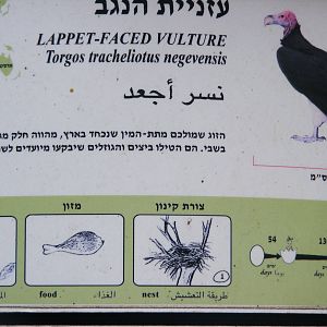 Safari Zoological Center 30.1.10