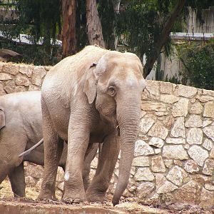 Safari Zoological Center 30.1.10