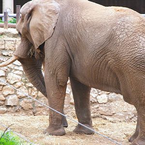 Safari Zoological Center 30.1.10