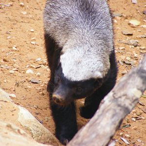 Safari Zoological Center 30.1.10