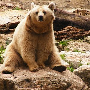 Safari Zoological Center 30.1.10