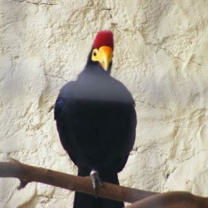 Safari Zoological Center 30.1.10