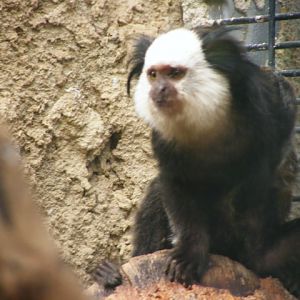 Safari Zoological Center 30.1.10